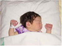 dsc00093.jpg (1217435 bytes)