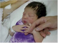 dsc00102.jpg (1226025 bytes)